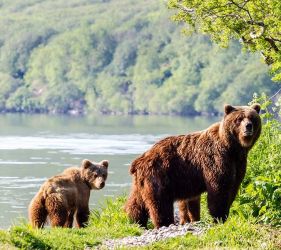 КАМЧАТКА - ДИВАТА КРАСОТА НА РУСИЯ / КРАЯТ НА СВЕТА Е НАЧАЛО НА ГЕЙЗЕРИ, ВУЛКАНИ И ДОМ НА НАЙ-ГОЛЕМИТЕ КАФЯВИ МЕЧКИ с водач Северина Маркова